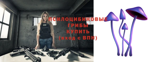 стаф Арсеньев