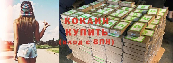 стаф Арсеньев